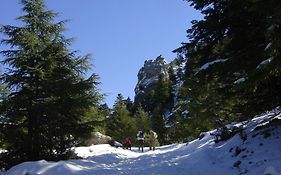 Casa La Palma